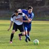 ASV-Birkenfeld 8.3.2015 cc.S (196).jpg