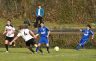 ASV-Birkenfeld 8.3.2015 cc.S (203).jpg