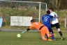 ASV-Birkenfeld 8.3.2015 cc.S (237).jpg