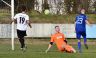 ASV-Birkenfeld 8.3.2015 cc.S (269).jpg