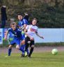 ASV-Birkenfeld 8.3.2015 cc.S (272).jpg
