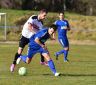 ASV-Birkenfeld 8.3.2015 cc.S (301).jpg