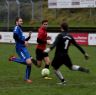 ASV-Ersingen 7.12.14 c.S.Theil (18).jpg