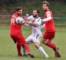 17.10.15  ASV Kirchheimc.c.cS.Theil           (103).jpg