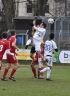 5.12.2015ASVSchwetzingen c.S (190).jpg