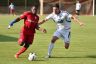 26.5.16 VFR Mannheim ASV cc.Stefan Theil (149).jpg