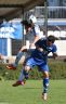 24.9.2016 ASV Heddesheim         c.Stefan Theil (10).jpg