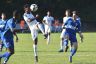 24.9.2016 ASV Heddesheim         c.Stefan Theil (227).jpg